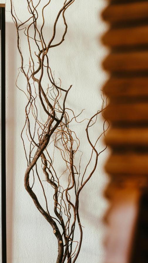 Hotel Sin Nombre 오아하카주 외부 사진